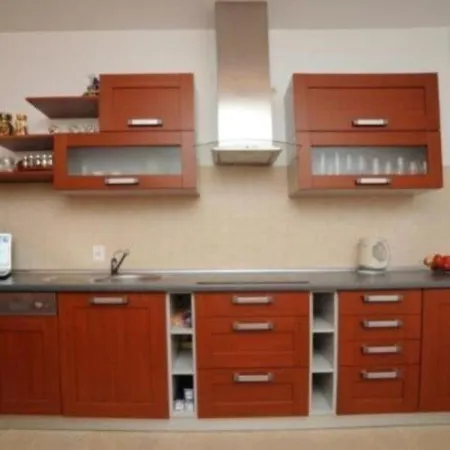 Z Kominkiem Apartament Zakopane